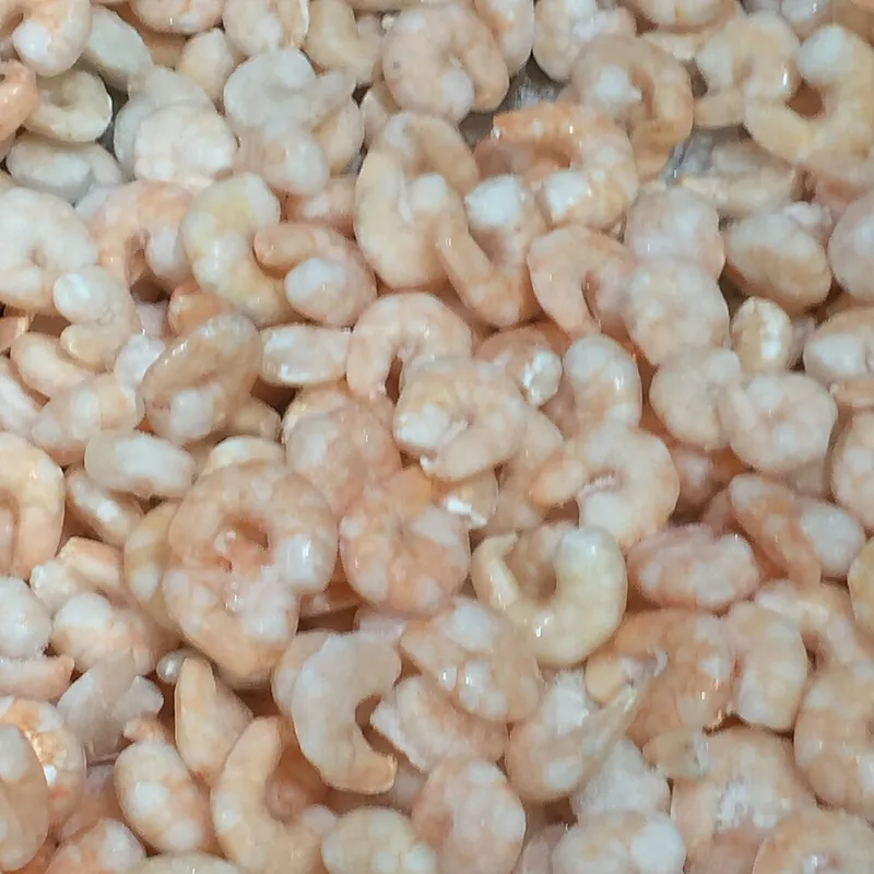 shrimp